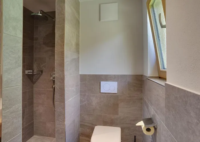 In Hollersbach Near Lift