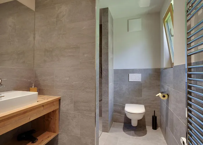 In Hollersbach Near Lift